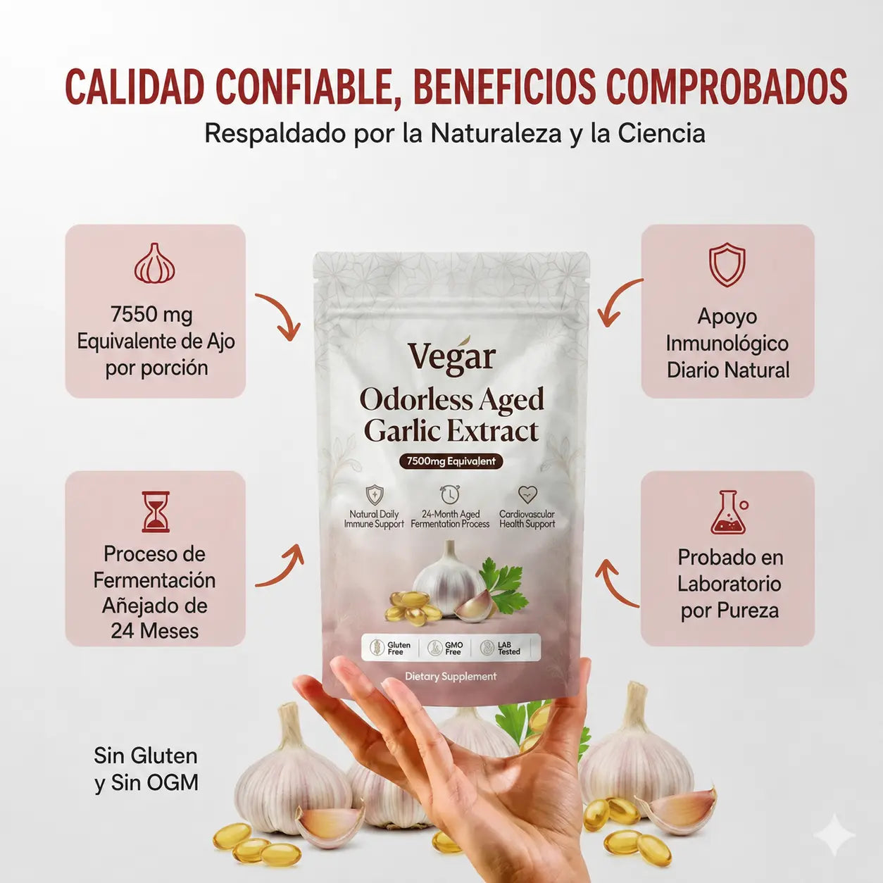 Complejo de Berberina – Apoyo para la Energía Celular y el Metabolismo